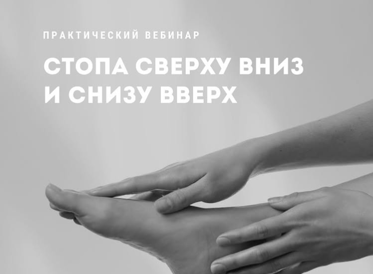 Александр Волоткевич - Стопа сверху вниз и снизу вверх