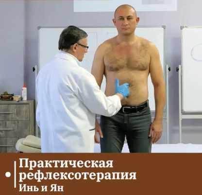 Сандал / Владимир Кононов - Практическая рефлексотерапия. Инь и Ян