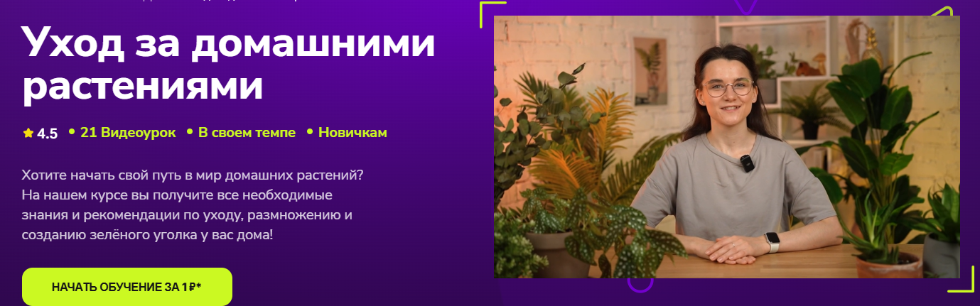 TutorPlace - Мария Кузнецова → Уход за домашними растениями