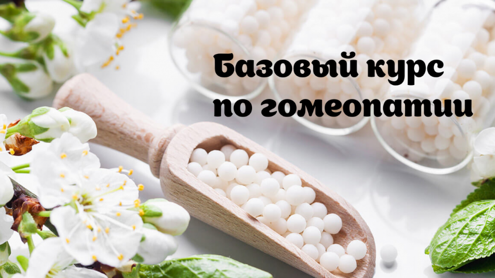 Наталья Радомская - Базовый курс по гомеопатии