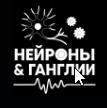 Дмитрий Бойко, Денис Сашин - Базовый курс по нейрорадиологии Нейроны и ганглии