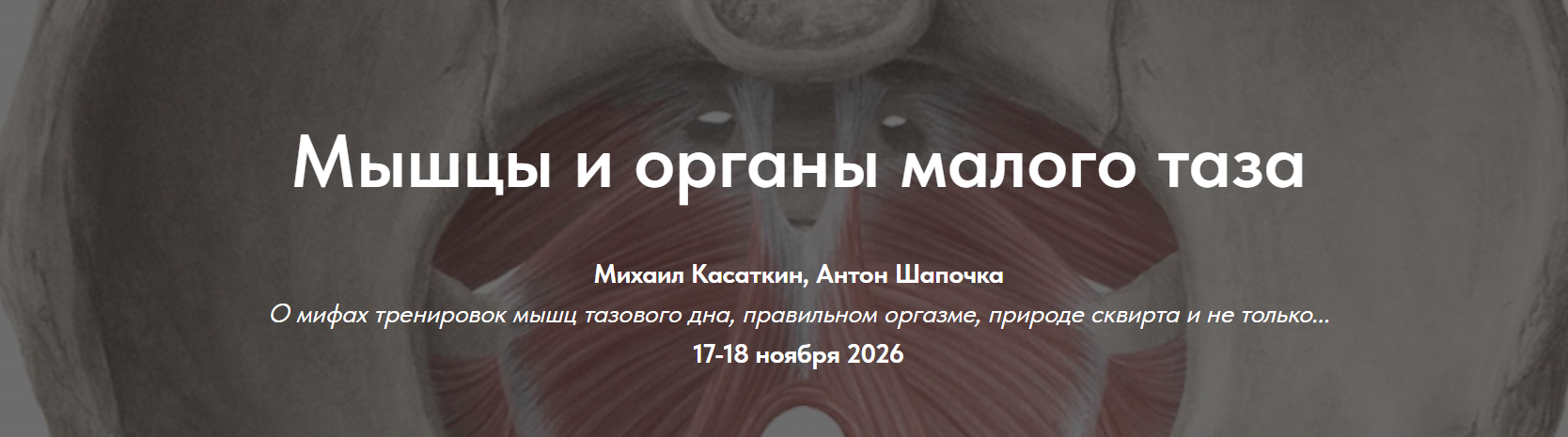 Cadavrea / Михаил Касаткин, Антон Шапочка - Мышцы и органы малого таза. Тариф Онлайн