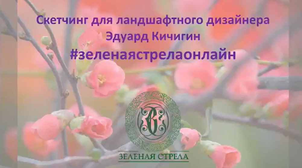 Зеленая стрела - Эдуард Кичигин → Скетчинг для ландшафтного дизайнера