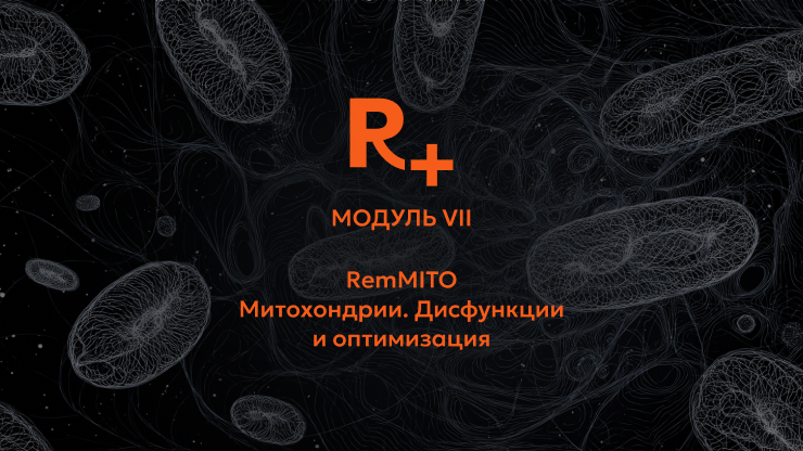 Remee+ / Владимир Попов - РемМИТО. Митохондрии. Дисфункции и оптимизация. 7 модуль