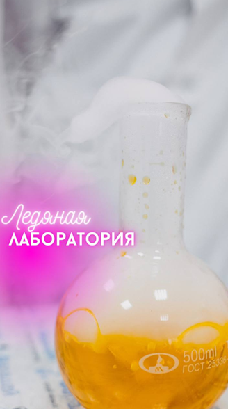 Наталья Мищенко - Ледяная лаборатория