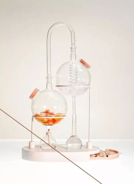 CHRISTOVSKAYA’S Medical School - Биохимия. Метаболизм холестерола и желчных кислот. Метаболизм ЛПВП