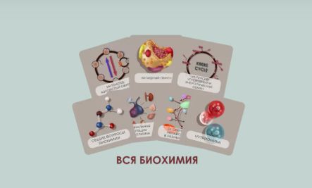 CHRISTOVSKAYA’S Medical School - Бокс «Весь курс биохимии»