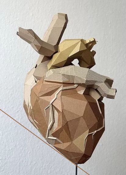 CHRISTOVSKAYA’S Medical School - Анатомия. Интенсив по сердечно-сосудистой системе