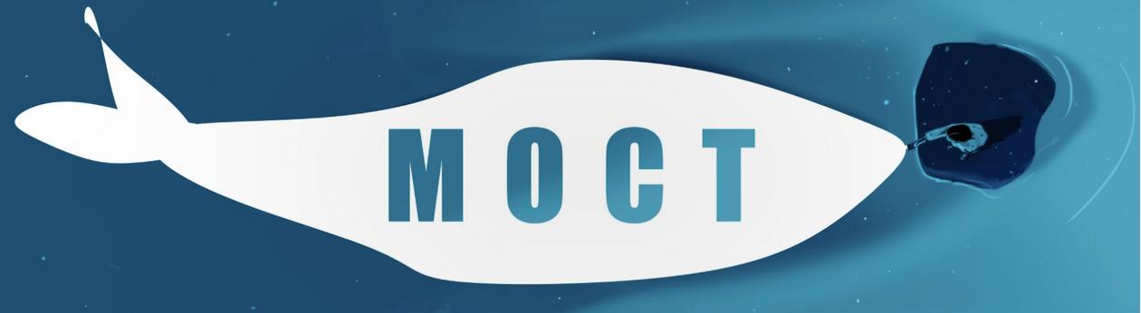 Мария Бразговская - Мост. Клубная программа. Февраль