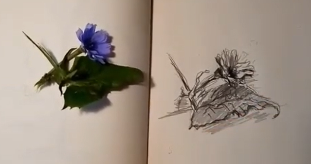 Наталья Коневец - Быстрый скетч карандашом