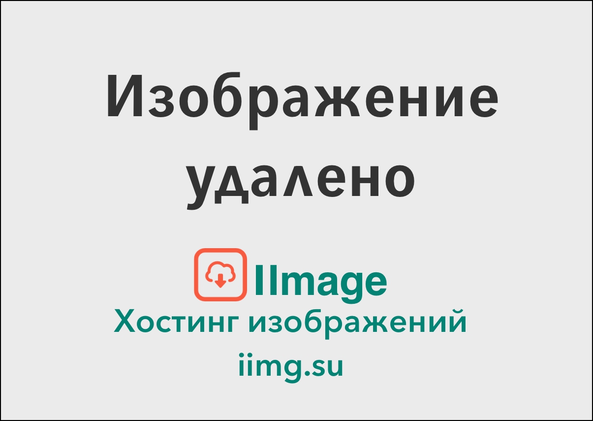 Занимательная школа / Надежда Надежная - Нейроадвент на 15 дней с увлекательным сюжетом и головоломками