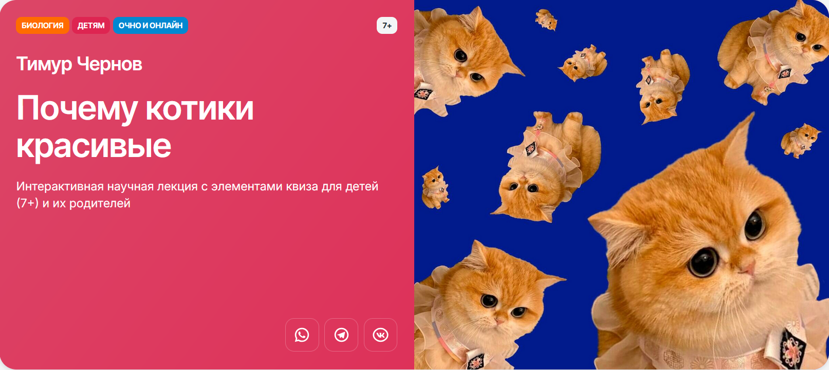 Прямая речь / Тимур Чернов - Почему котики красивые