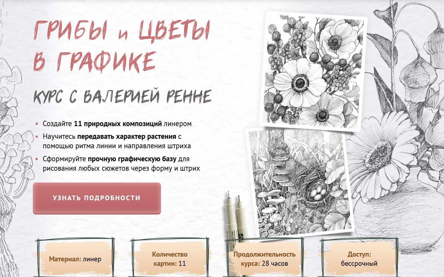 Валерия Ренне - Грибы и цветы в графики. Тариф Рисую сам