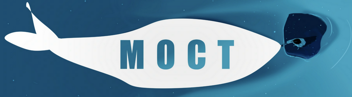 Мария Бразговская - Мост. Клубная программа. Март