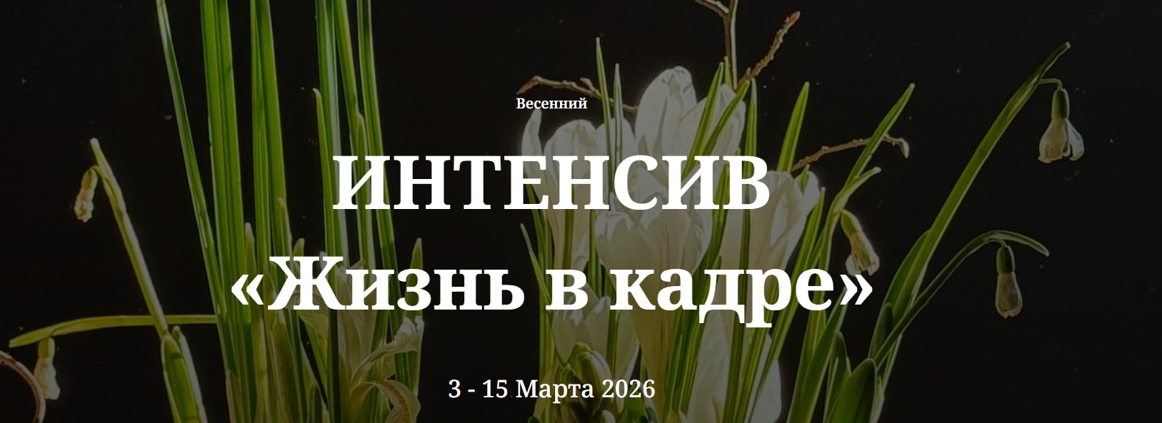 school.madinaluck - Интенсив «Жизнь в кадре»